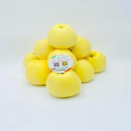 Sharbatly No. 1 Italian Yellow Apple